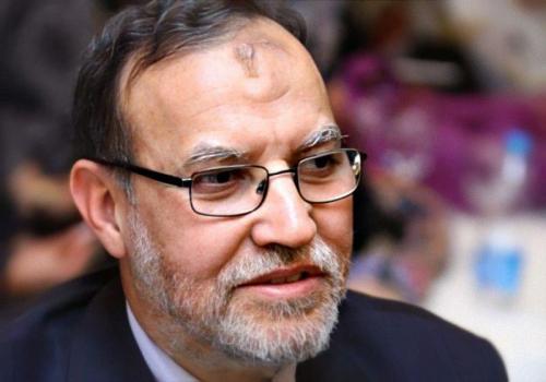 عصام العريان 11